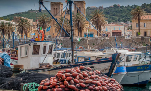 Travaux déroctage Abri de pêche El Marsa, Wilaya Chlef